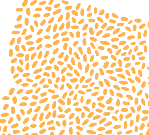 Specialized Service banner 1